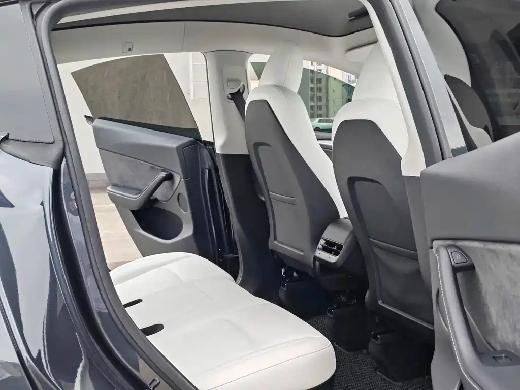 Tesla Model Y — миниатюра 14