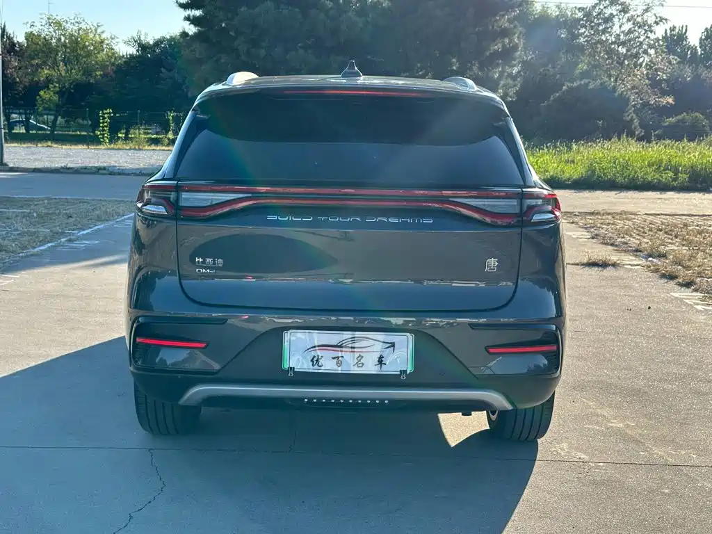 BYD Tang New Energy — миниатюра 5