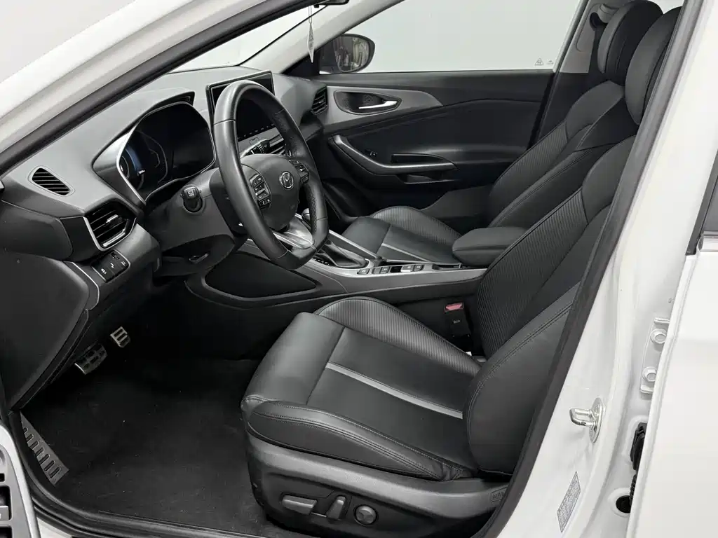 Hyundai Fista — миниатюра 15
