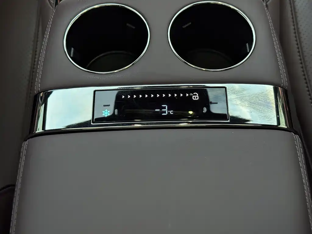 Denza Denza Z9GT — миниатюра 27