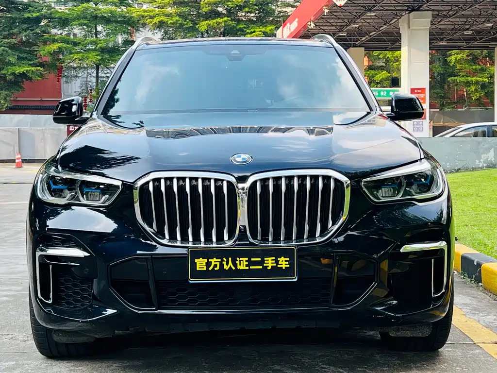 BMW X5 — миниатюра 2