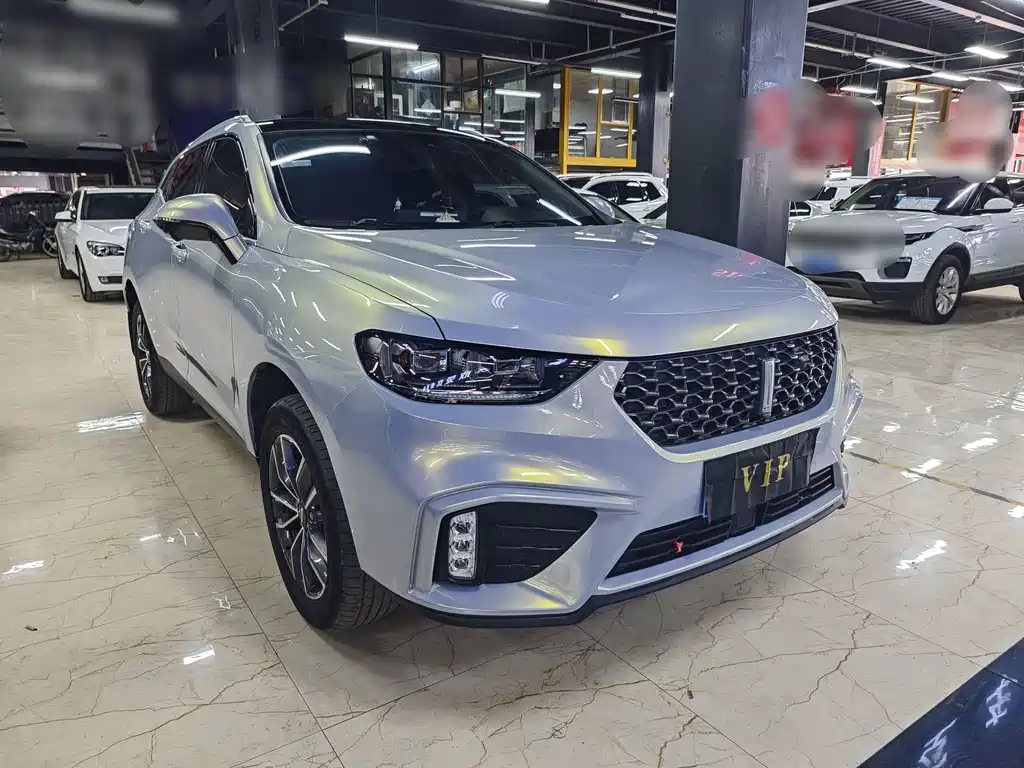 WEI PAI WEI BRAND VV5