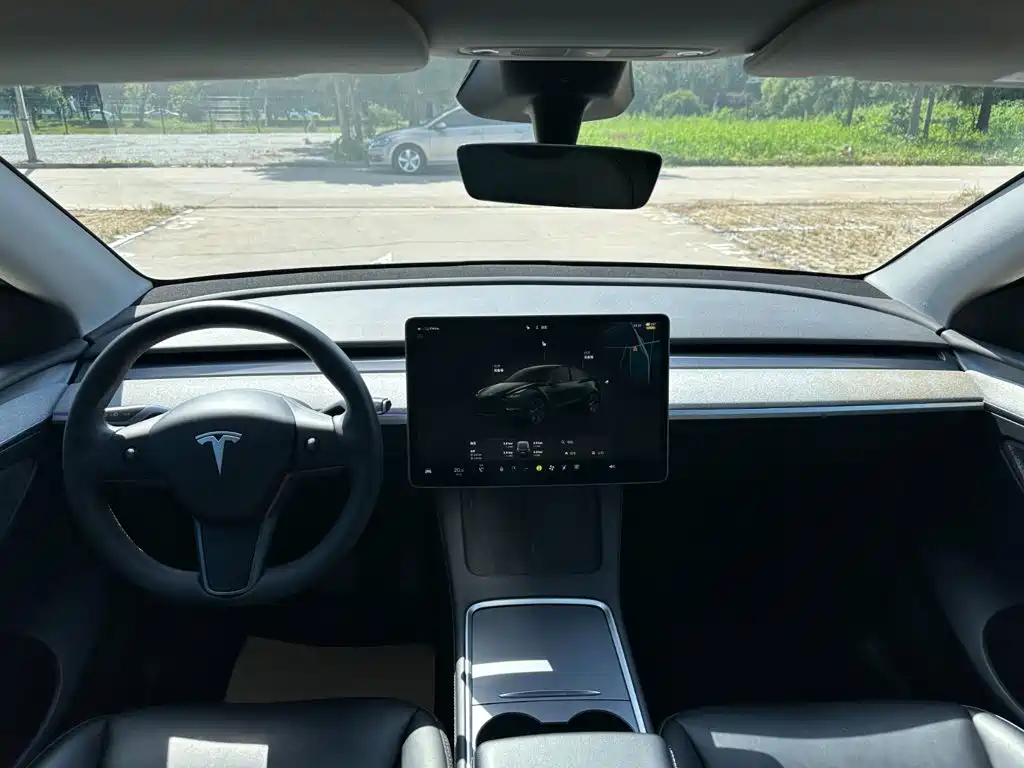 Tesla Model Y — миниатюра 11