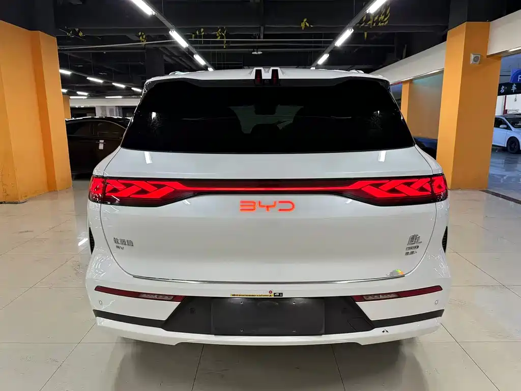 BYD Дон Л. — миниатюра 7