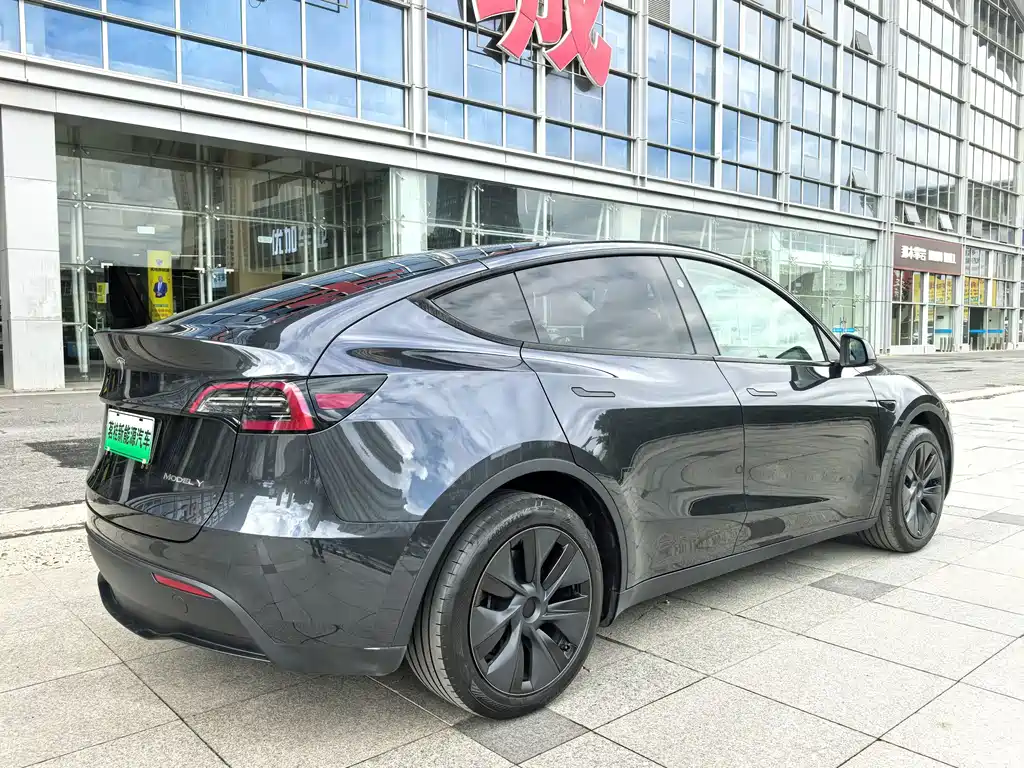 Tesla Model Y — миниатюра 12