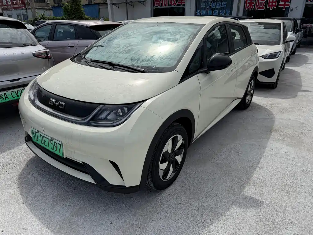 BYD Dolphin
