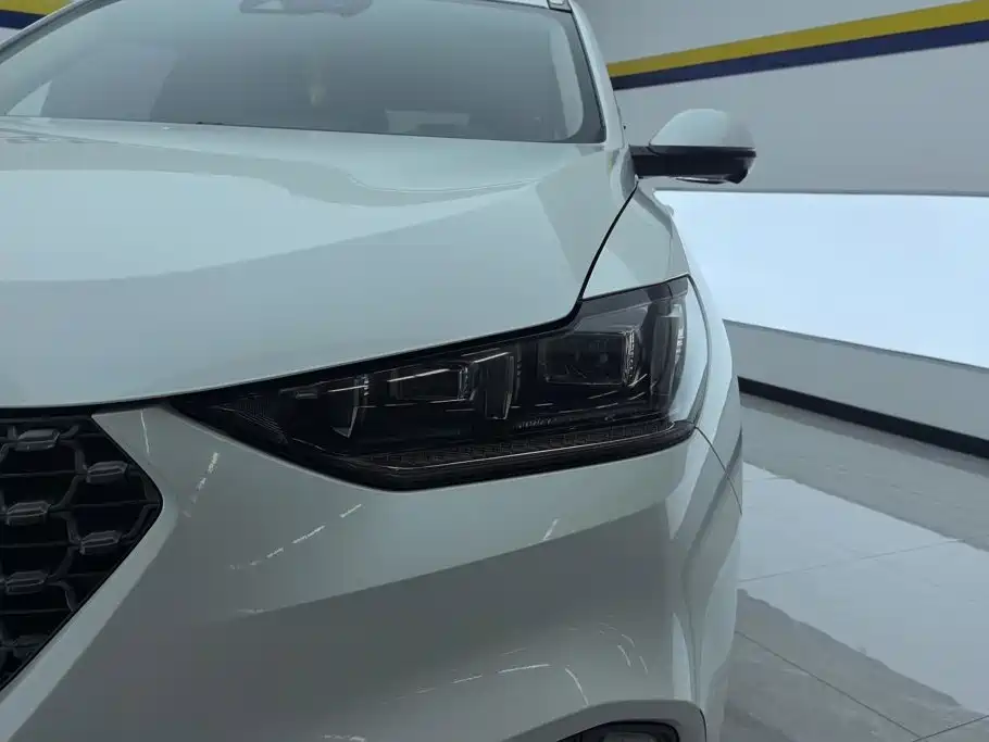Wey Wey VV6 — миниатюра 5