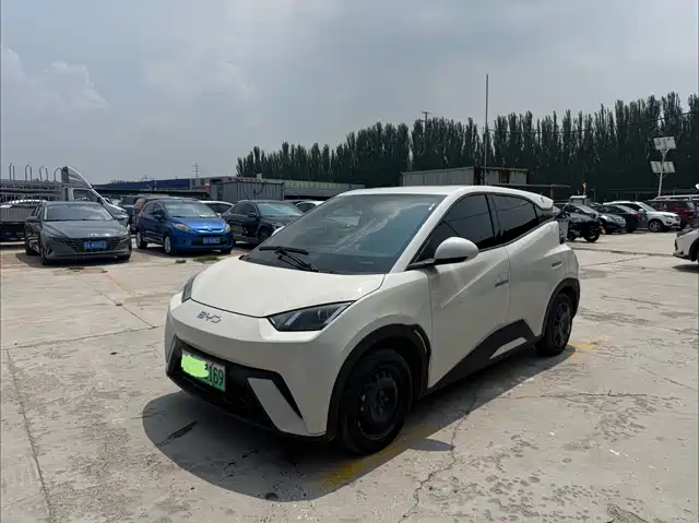 2024 BYD Seagull