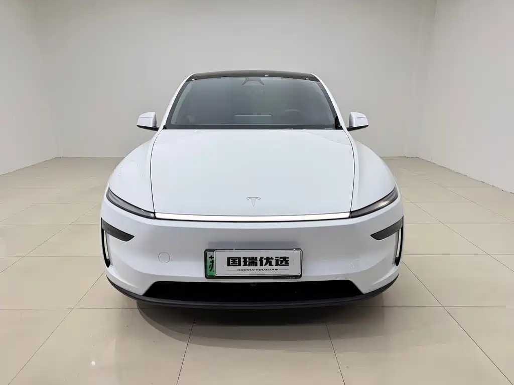Tesla Model Y — миниатюра 2