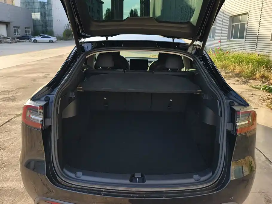 Tesla Model Y — миниатюра 4