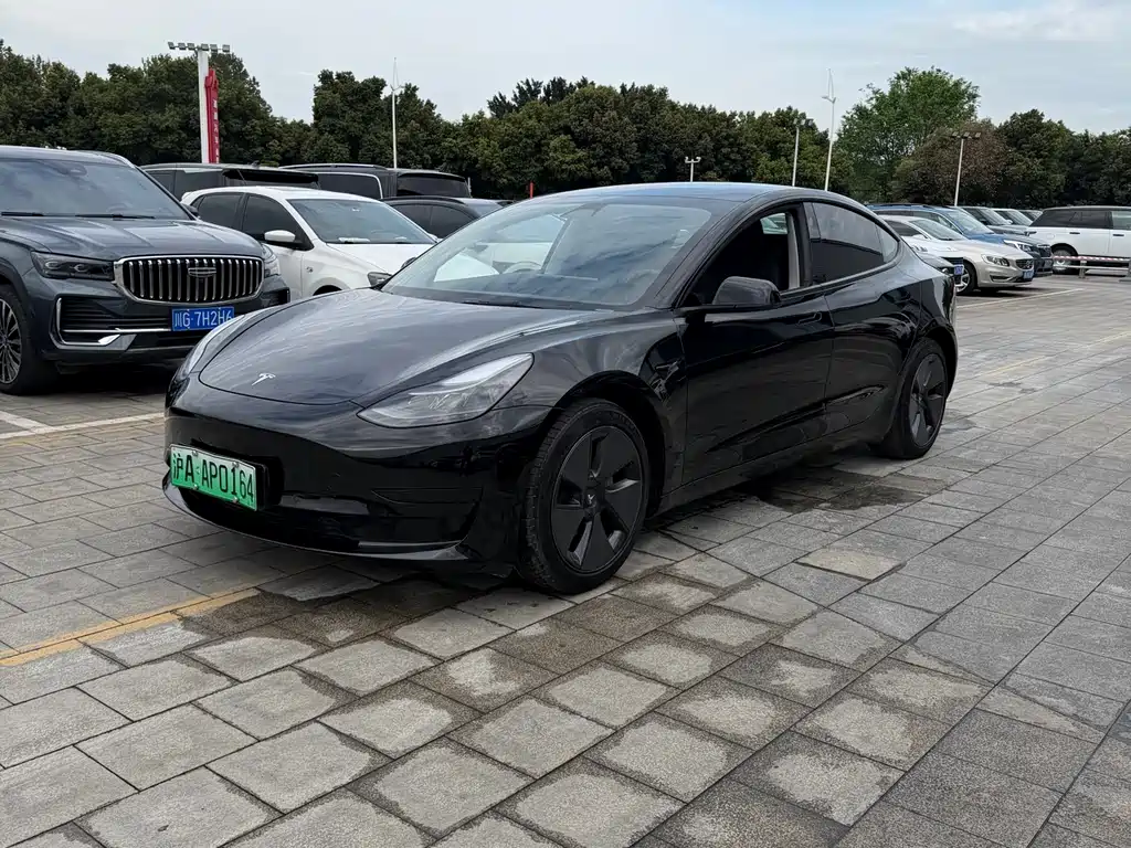 Tesla Model 3 2021