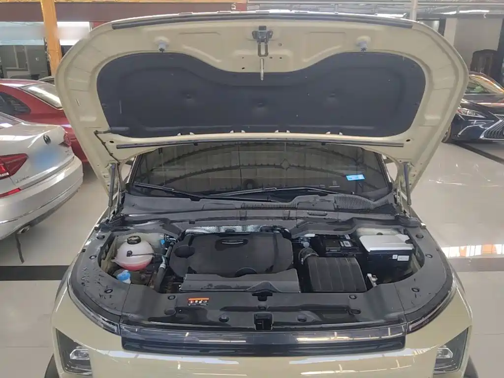 Geely Cowboy — миниатюра 20