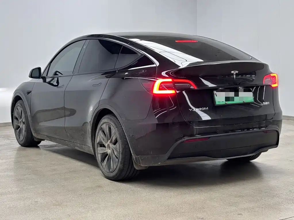 Tesla Model Y — миниатюра 6