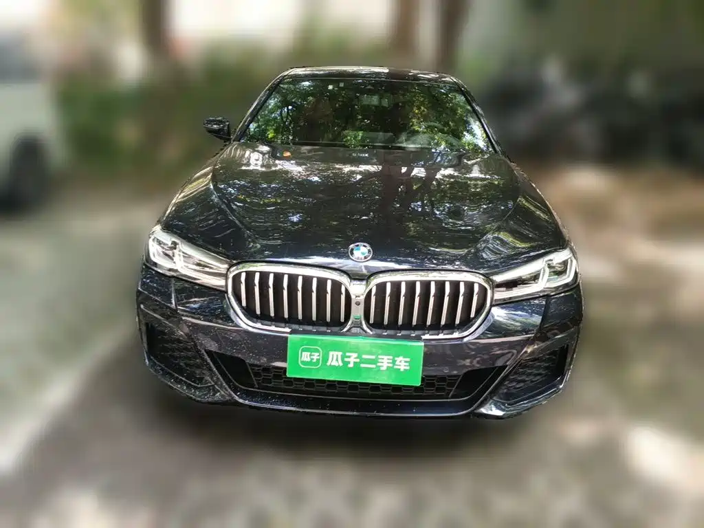BMW 5 Series — миниатюра 24