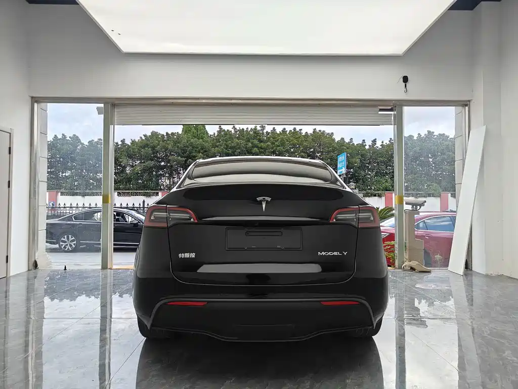Tesla Model Y — миниатюра 4