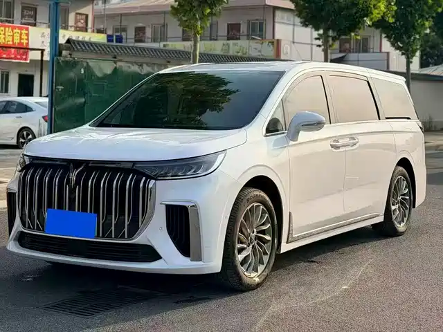 2024 Voyah Dream