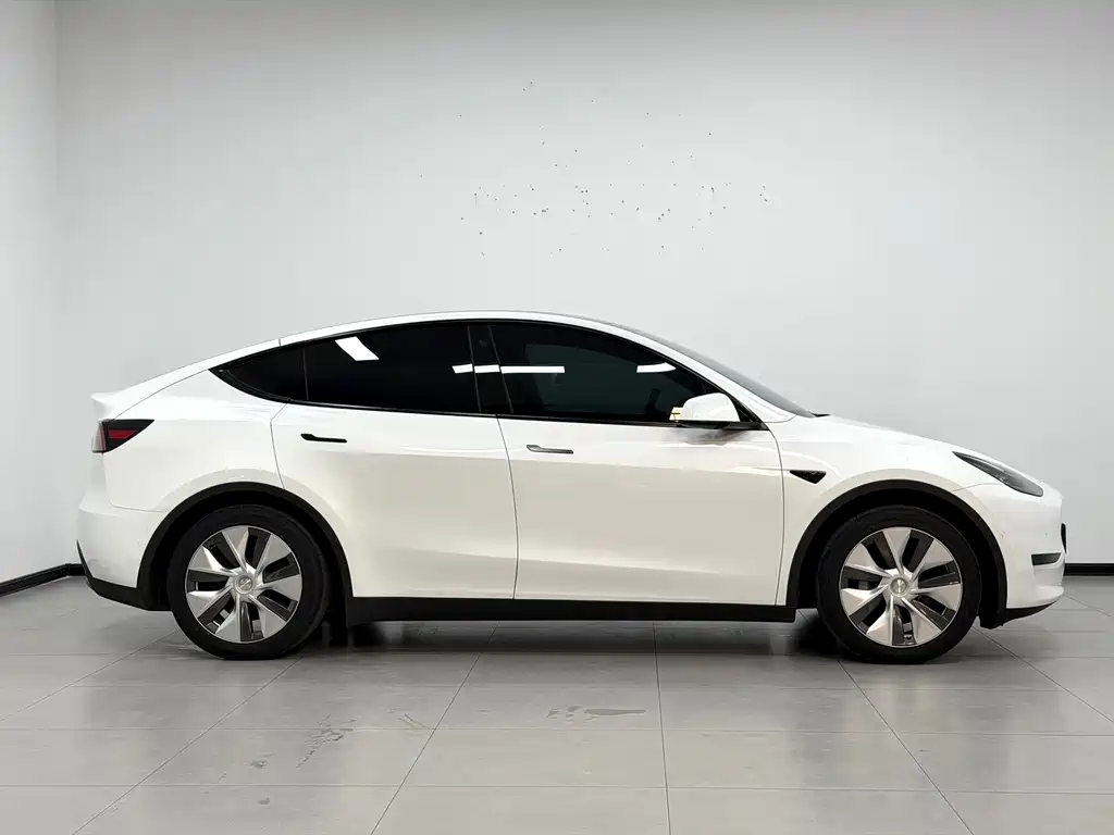 Tesla Model Y — миниатюра 3