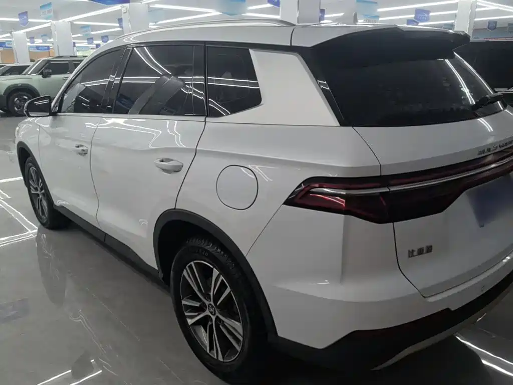 BYD Pro — миниатюра 5