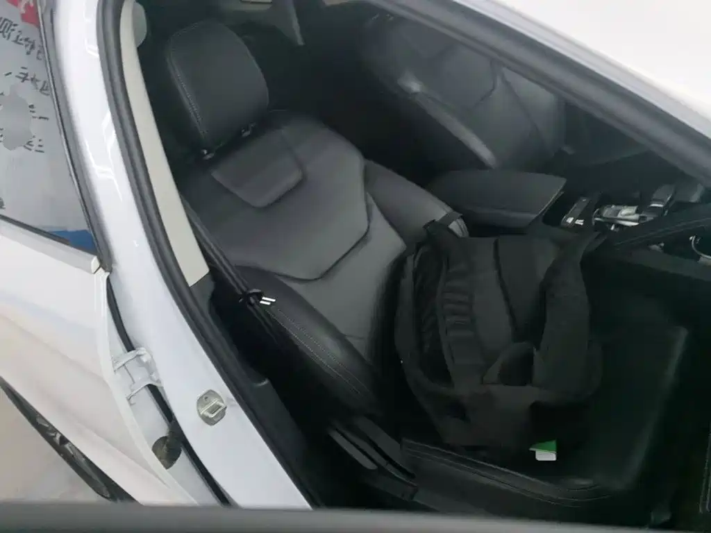 BYD Pro — миниатюра 25