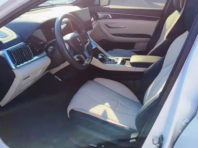 BYD PLUS New Energy — миниатюра 7