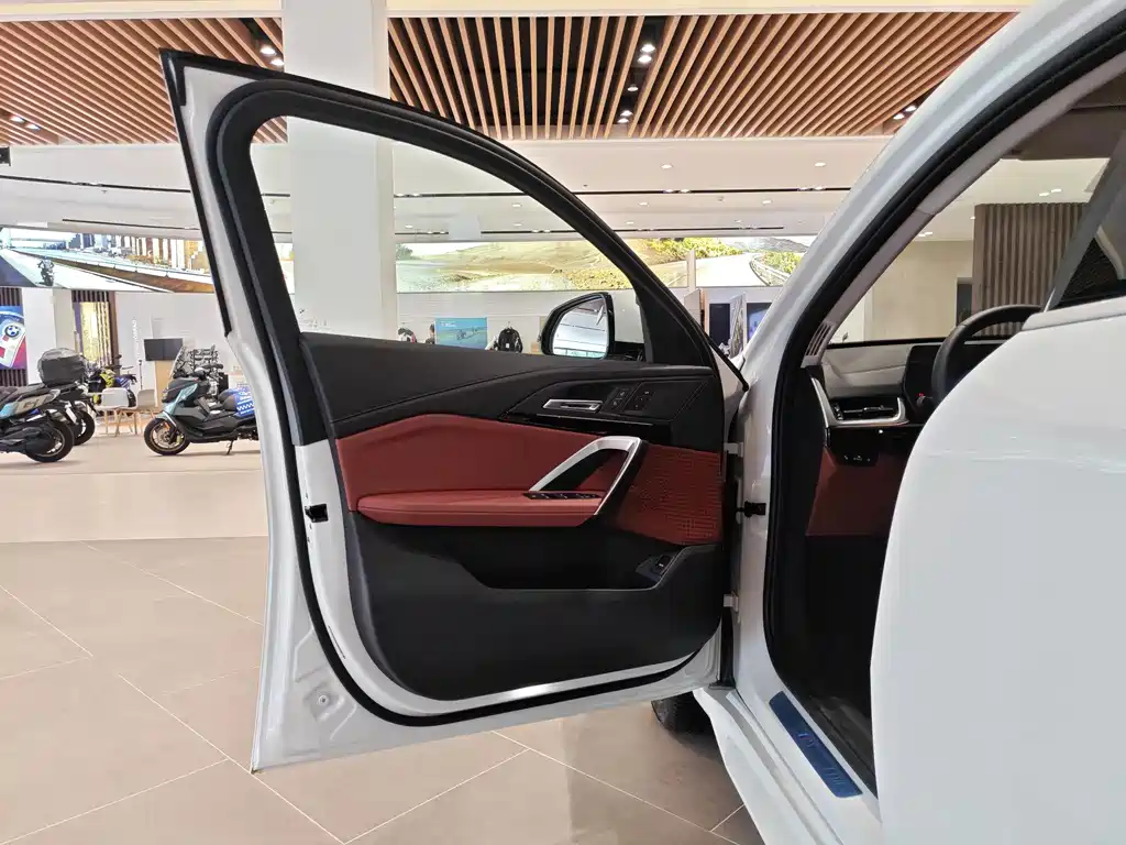 BMW X2 (Import) — миниатюра 19