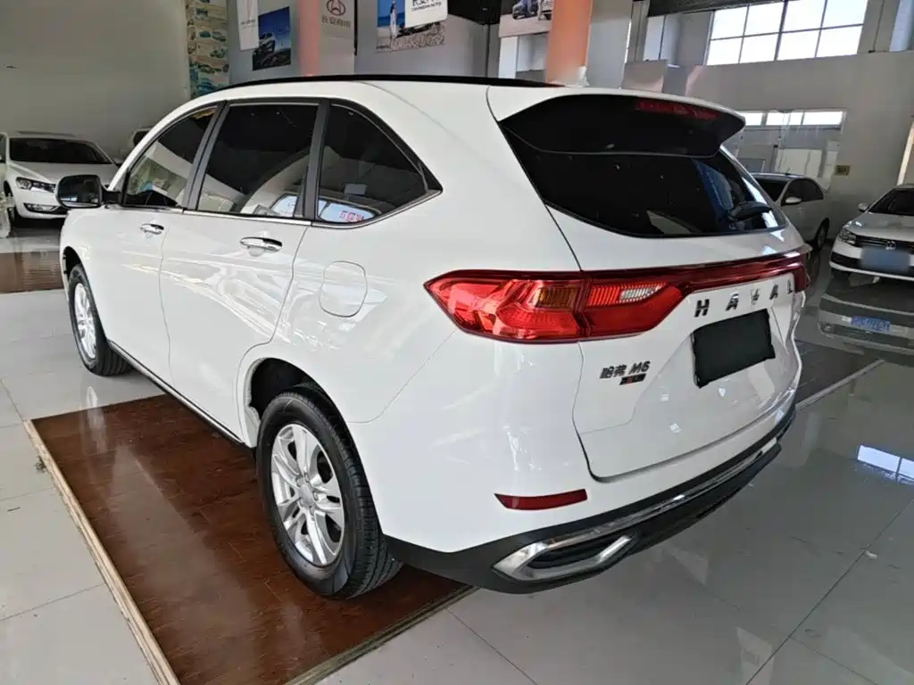 Haval M6 — миниатюра 5
