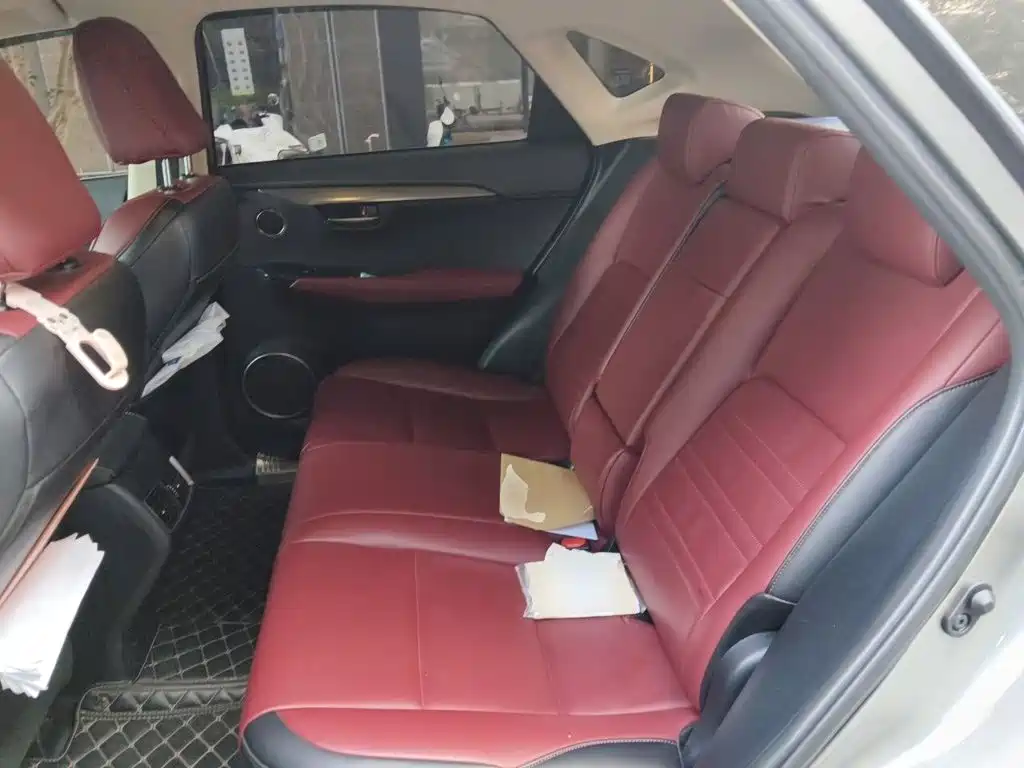 Lexus NX — миниатюра 18