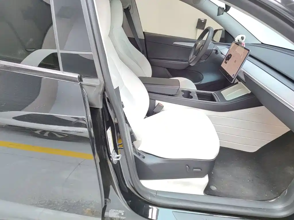 Tesla Model Y — миниатюра 25