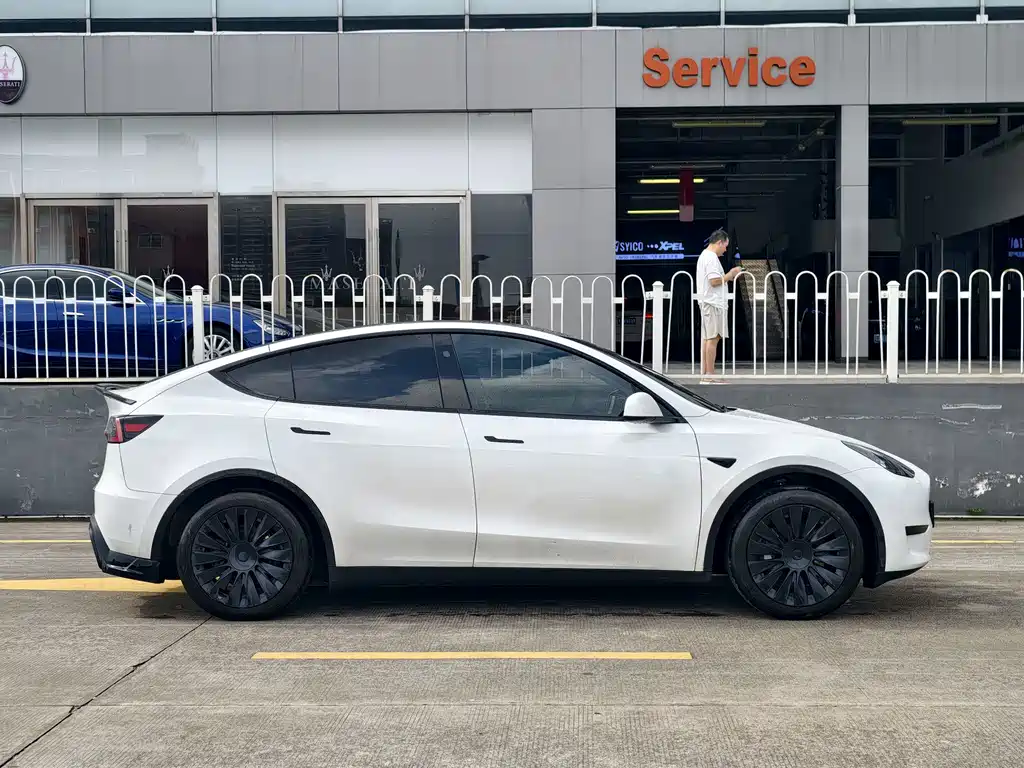 Tesla Model Y — миниатюра 2