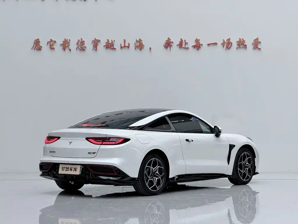 Neta Neta GT — миниатюра 11