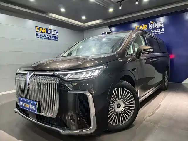 2025 Voyah Dream