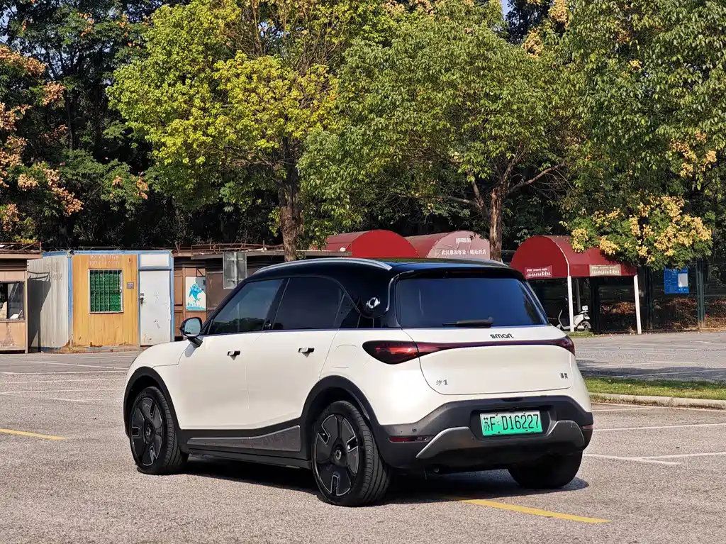smart Smart #1 — миниатюра 9
