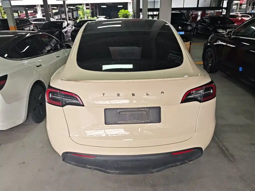 Tesla Model Y — миниатюра 6