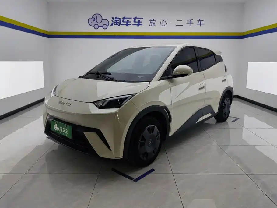 BYD Seagull