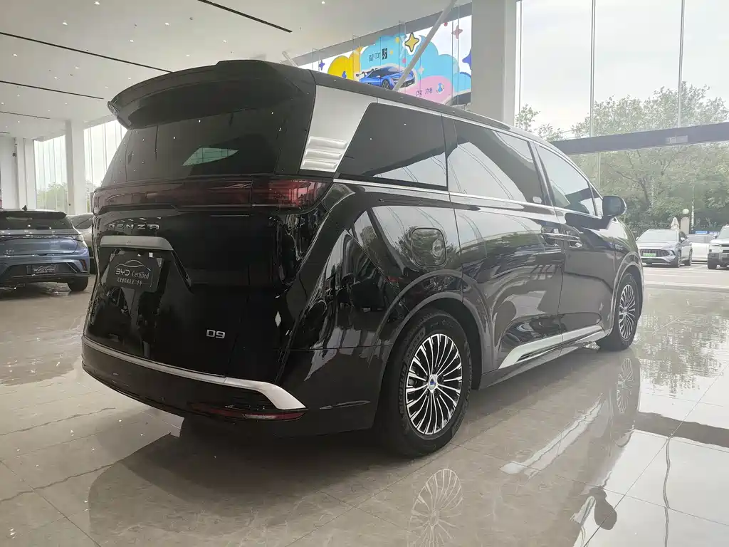 Denza Denza D9 — миниатюра 5