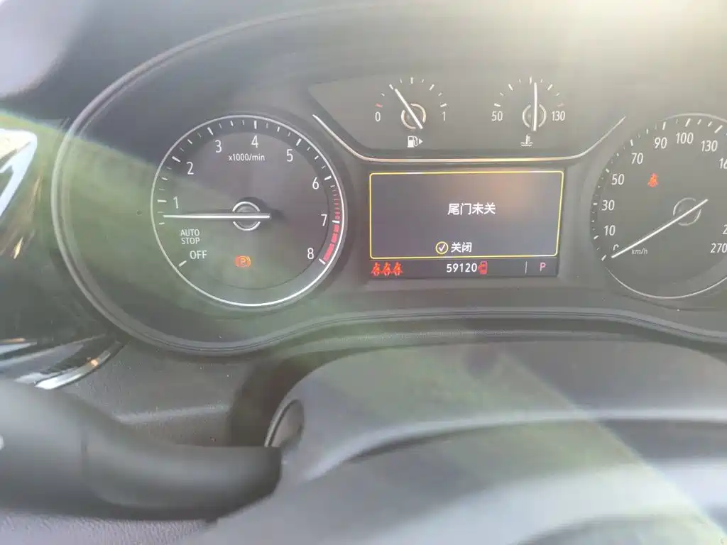 Buick Regal — миниатюра 13