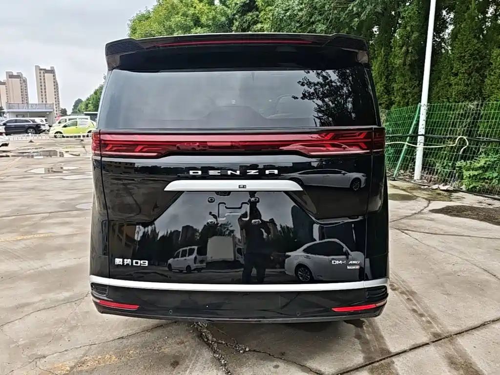 Denza Denza D9 — миниатюра 6