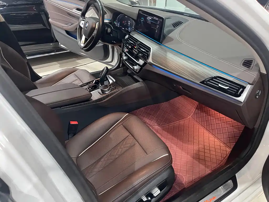 BMW 5 SERIES NEW ENERGY