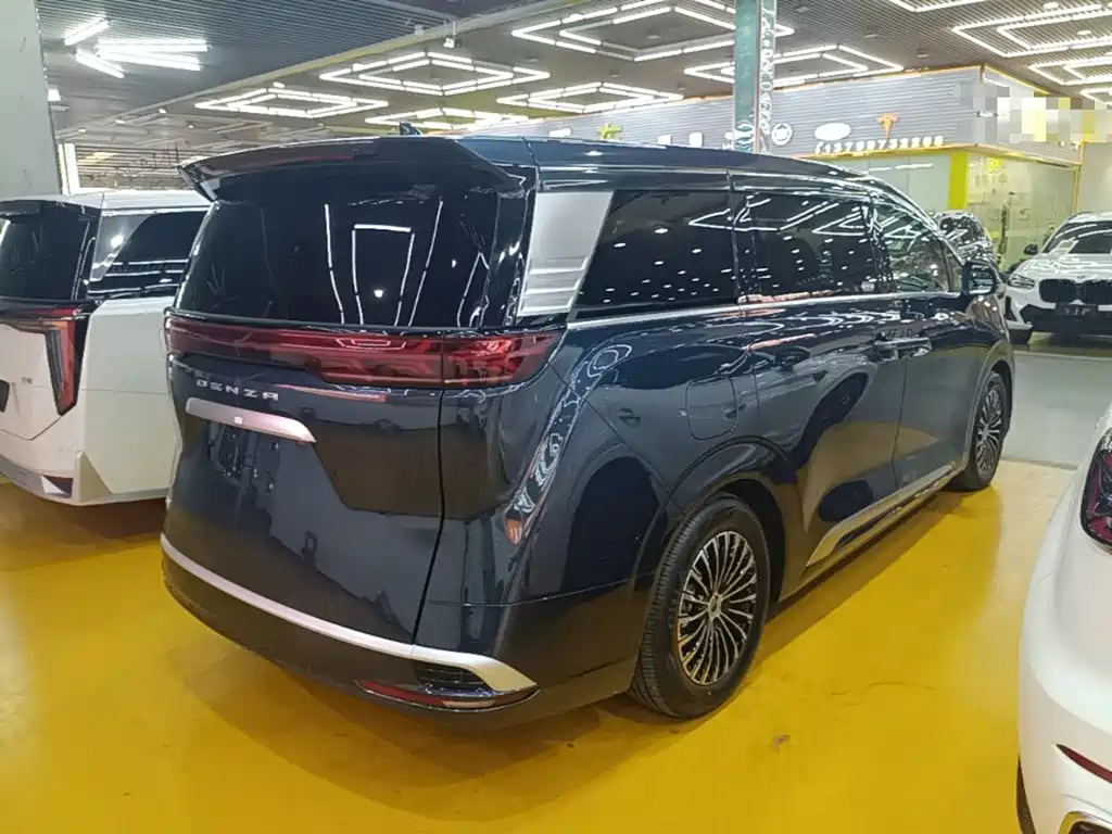 Denza Denza D9 — миниатюра 7