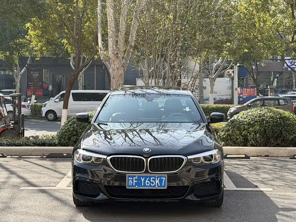 BMW 5 Series 2019