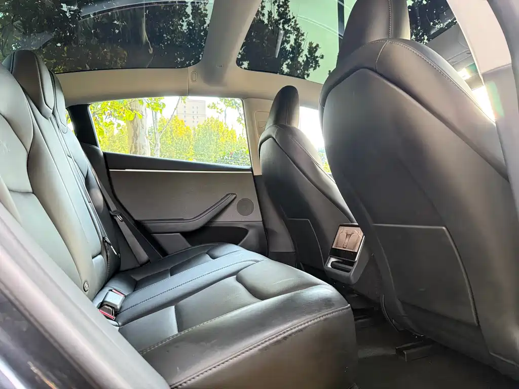 Tesla Model 3 — миниатюра 10