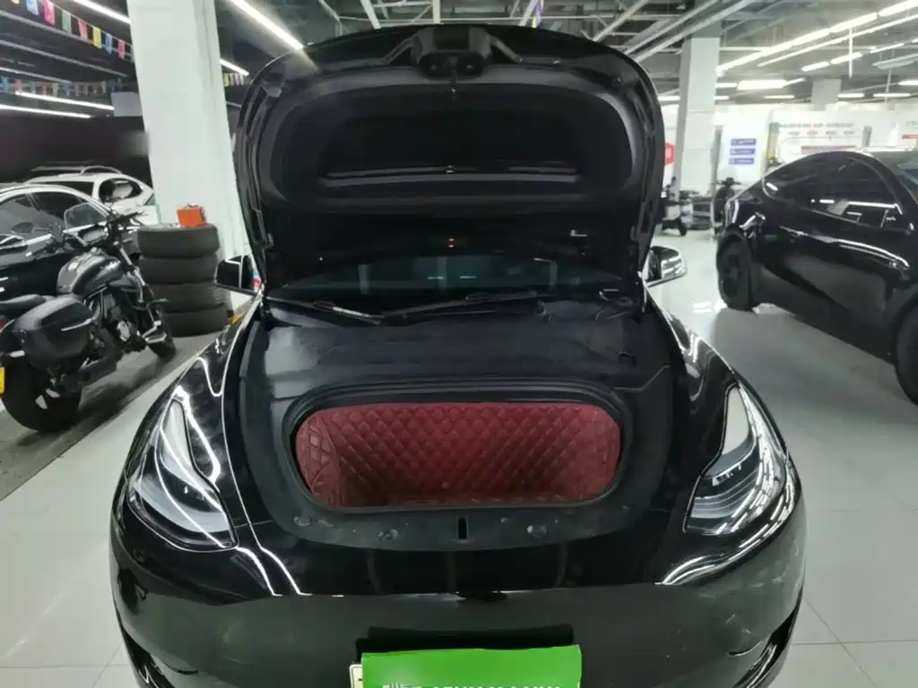 Tesla Model Y — миниатюра 20