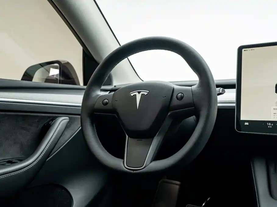 Tesla Model Y — миниатюра 22