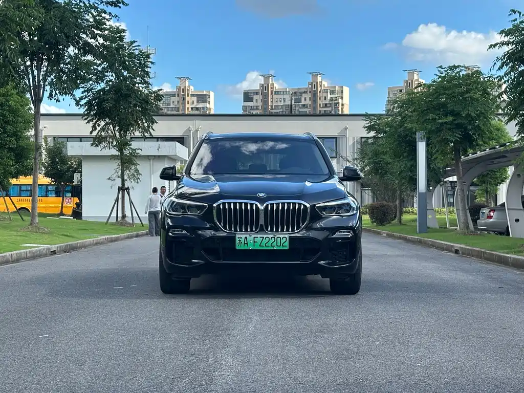 BMW X5 New Energy (Import) — миниатюра 2