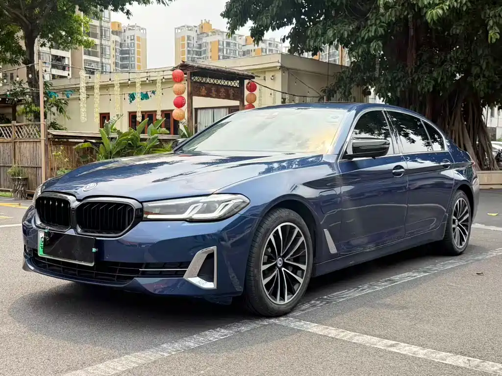 BMW 5 Series New Energy 2022