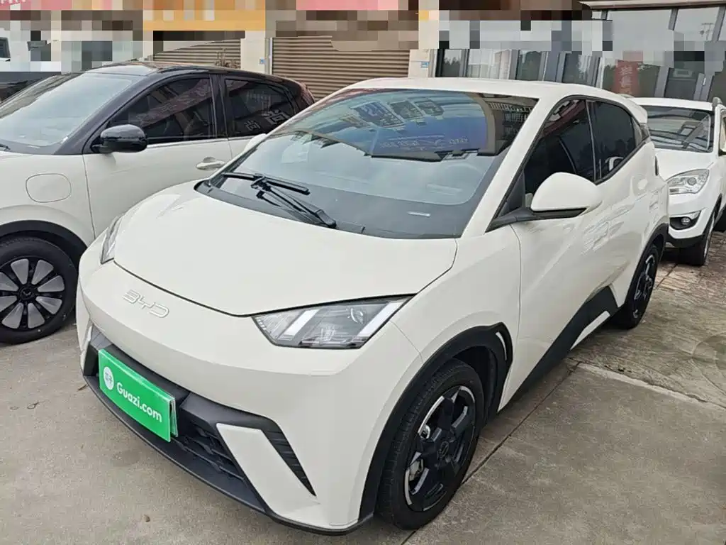 BYD Seagull