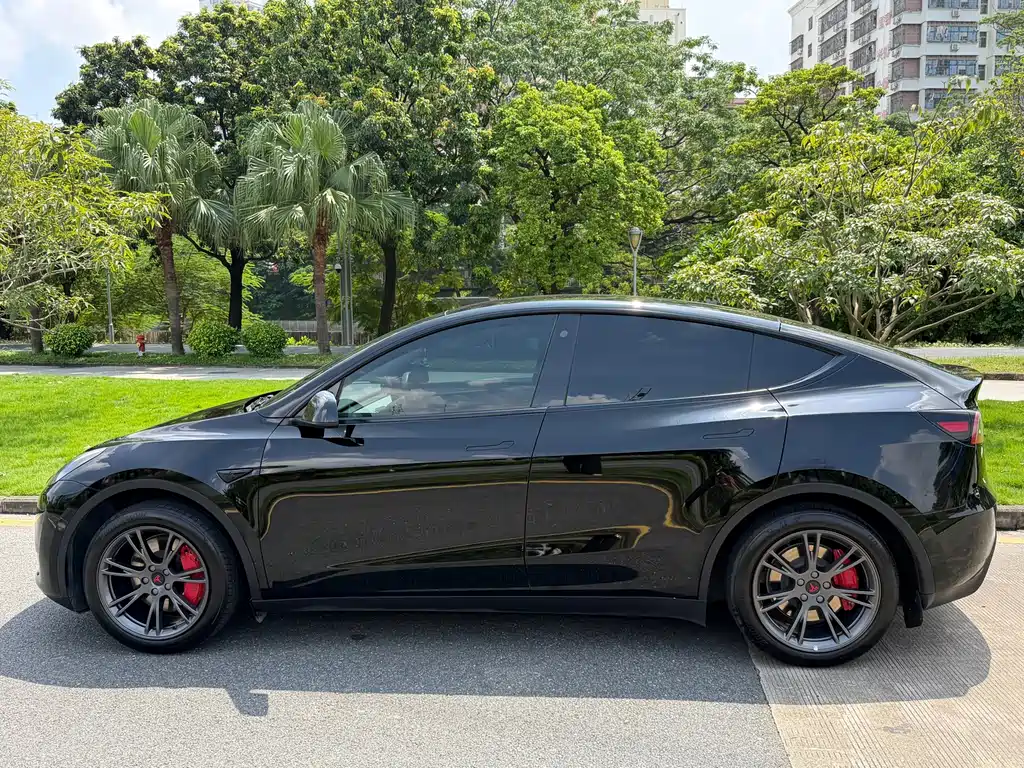 Tesla Model Y — миниатюра 7