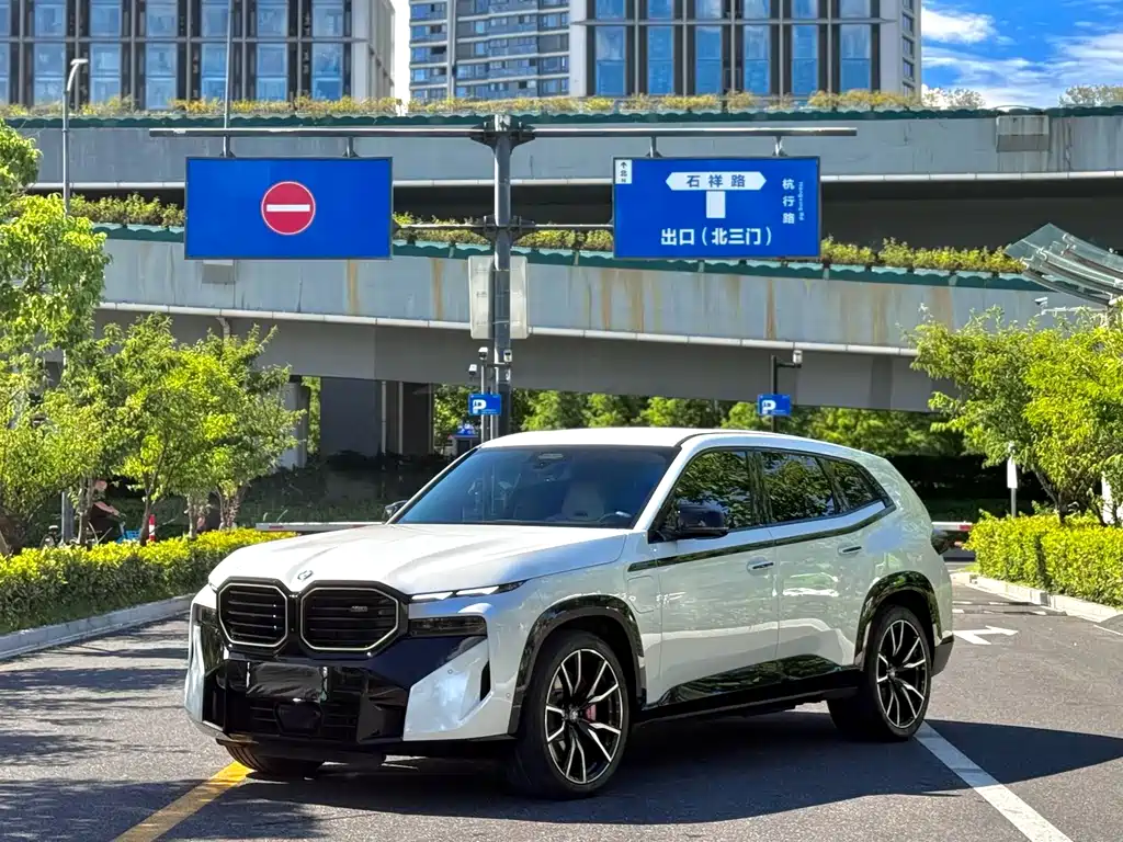 BMW XM — миниатюра 3