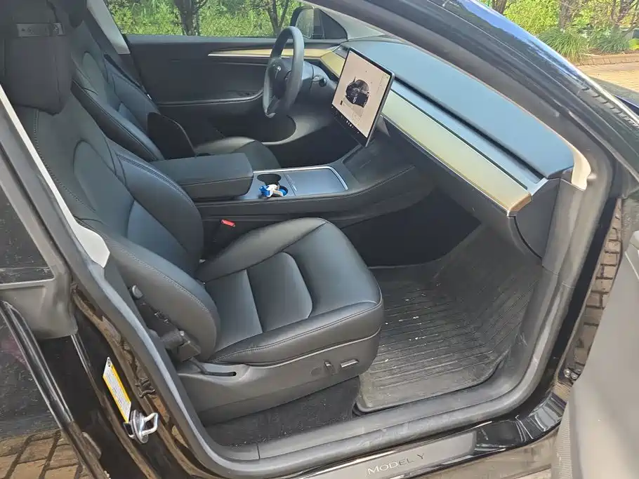 Tesla Model Y — миниатюра 8