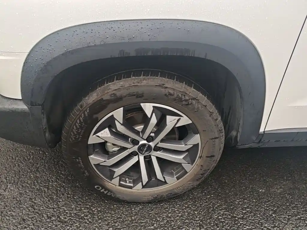 Haval Big Dog — миниатюра 23